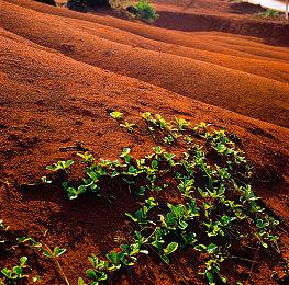 用48个小时将创意变成游戏！游戏极限开发活动2023 CiGA Game Jam报名开始！